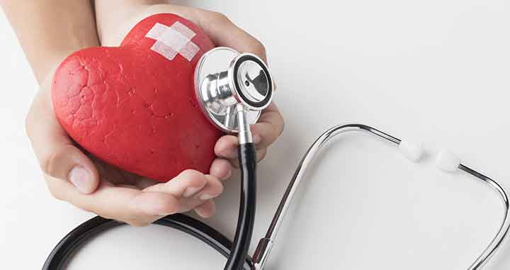 Sistema cardiovascular -